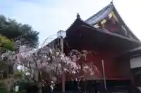 清水観音堂の本殿・本堂