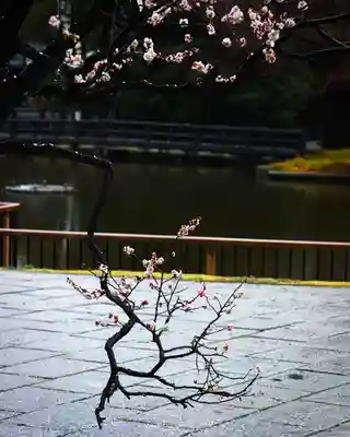 武蔵一宮氷川神社(埼玉県)