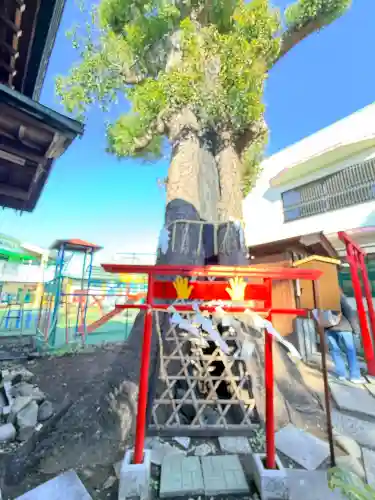 五方山熊野神社の{uncategorized: "未分類", other: "その他", undefined: "問題あり", building: "その他建物", grave: "お墓", sacred_gate: "鳥居", guardian: "狛犬", statue: "像", buddha: "仏像", history: "歴史", nature: "自然", garden: "庭園", animal: "動物", pagoda: "塔", temizu: "手水舎", mountain_gate: "山門・神門", sanctuary: "本殿・本堂", subordinate: "末社・摂社", art: "芸術", scenery: "景色", jizo: "地蔵", ema: "絵馬", goshuin: "御朱印", omikuji: "おみくじ", items: "授与品その他", amulet: "お守り", goshuincho: "御朱印帳", eats: "食事", festival: "お祭り", votive_dance: "神楽", shichigosan: "七五三参", wedding: "結婚式", experience: "体験その他", initially: "初詣", around: "周辺", anti_infection: "感染症対策"}