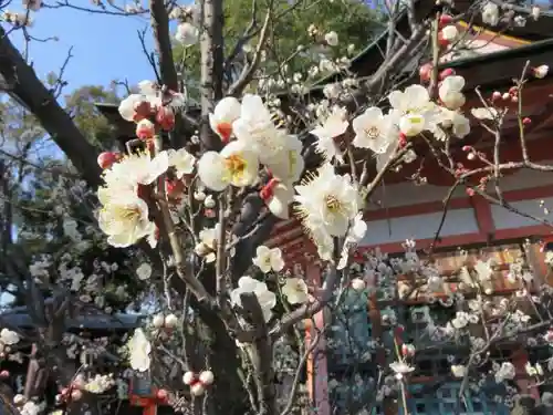 西院春日神社の自然