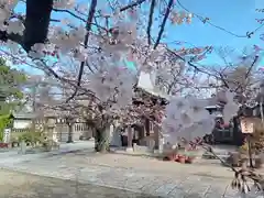 阿部野神社の自然