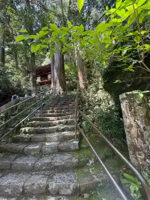 飛瀧神社（熊野那智大社別宮）の{uncategorized: "未分類", other: "その他", undefined: "問題あり", building: "その他建物", grave: "お墓", sacred_gate: "鳥居", guardian: "狛犬", statue: "像", buddha: "仏像", history: "歴史", nature: "自然", garden: "庭園", animal: "動物", pagoda: "塔", temizu: "手水舎", mountain_gate: "山門・神門", sanctuary: "本殿・本堂", subordinate: "末社・摂社", art: "芸術", scenery: "景色", jizo: "地蔵", ema: "絵馬", goshuin: "御朱印", omikuji: "おみくじ", items: "授与品その他", amulet: "お守り", goshuincho: "御朱印帳", eats: "食事", festival: "お祭り", votive_dance: "神楽", shichigosan: "七五三参", wedding: "結婚式", experience: "体験その他", initially: "初詣", around: "周辺", anti_infection: "感染症対策"}