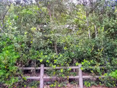 神宮干鯛調製所の自然