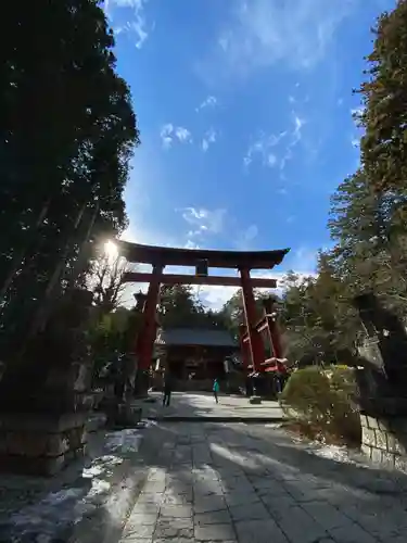 北口本宮冨士浅間神社の鳥居