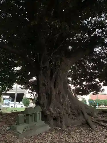 十二神社(千葉県)