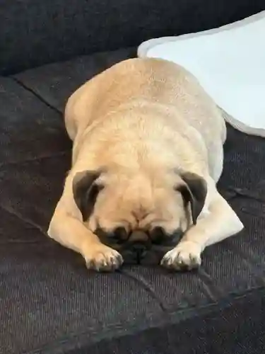 本昌寺(大阪府)