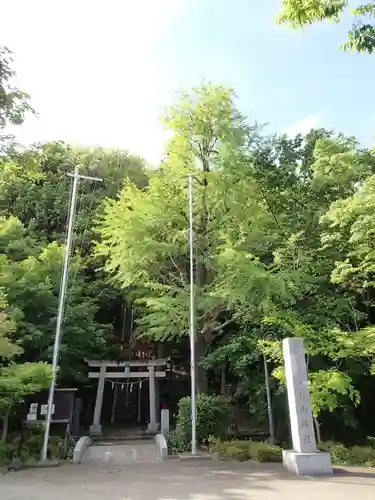 茅ヶ崎杉山神社のその他建物
