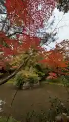 鍬山神社(京都府)