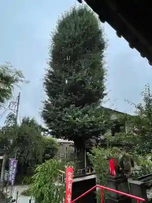 烏森稲荷神社のその他建物
