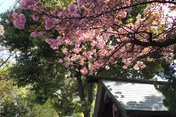 鳥海月山両所宮の自然