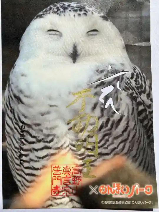 普門寺(切り絵御朱印発祥の寺)(愛知県)