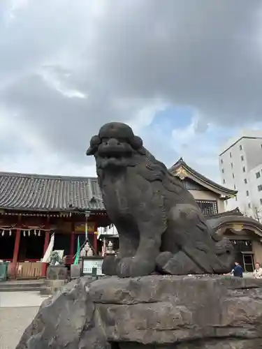 浅草神社の狛犬