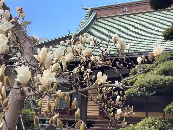 林香寺(神奈川県)