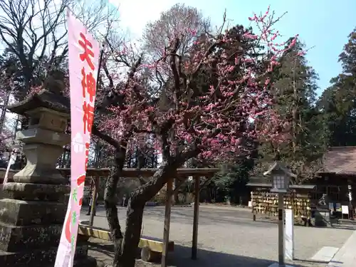 芳賀天満宮(栃木県)