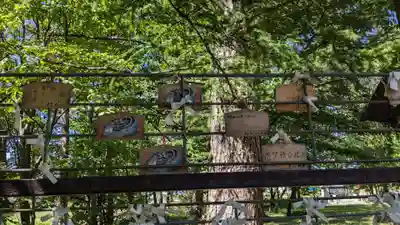 神楽神社の絵馬
