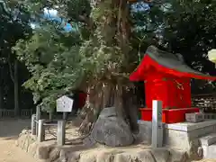 一宮神社(愛媛県)