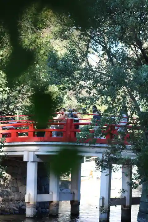 武蔵一宮氷川神社(埼玉県)