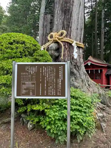 北口本宮冨士浅間神社(山梨県)