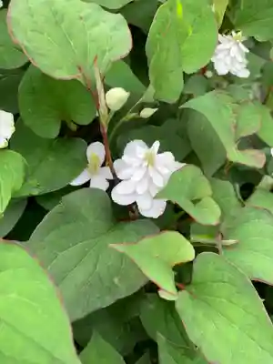 常鑑寺(群馬県)