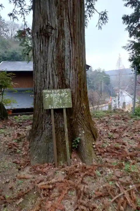 晴暗寺(愛知県)