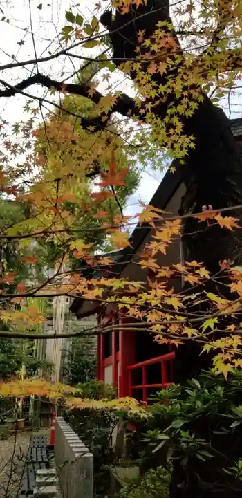 三田春日神社の自然