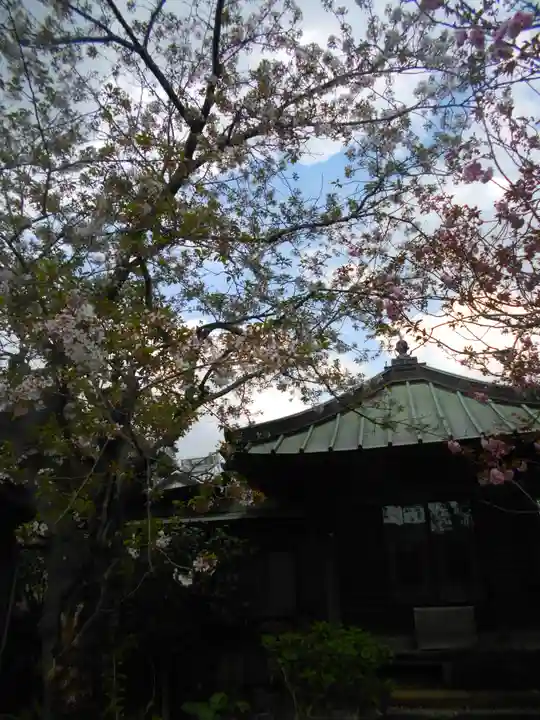 極楽寺(霊鷲山感應院極楽律寺)の自然