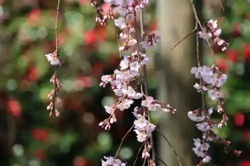 建福寺の景色