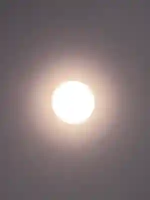 櫻木神社(千葉県)