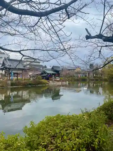 神泉苑の{uncategorized: "未分類", other: "その他", undefined: "問題あり", building: "その他建物", grave: "お墓", sacred_gate: "鳥居", guardian: "狛犬", statue: "像", buddha: "仏像", history: "歴史", nature: "自然", garden: "庭園", animal: "動物", pagoda: "塔", temizu: "手水舎", mountain_gate: "山門・神門", sanctuary: "本殿・本堂", subordinate: "末社・摂社", art: "芸術", scenery: "景色", jizo: "地蔵", ema: "絵馬", goshuin: "御朱印", omikuji: "おみくじ", items: "授与品その他", amulet: "お守り", goshuincho: "御朱印帳", eats: "食事", festival: "お祭り", votive_dance: "神楽", shichigosan: "七五三参", wedding: "結婚式", experience: "体験その他", initially: "初詣", around: "周辺", anti_infection: "感染症対策"}