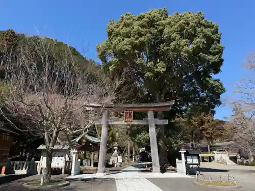 高麗神社(埼玉県)