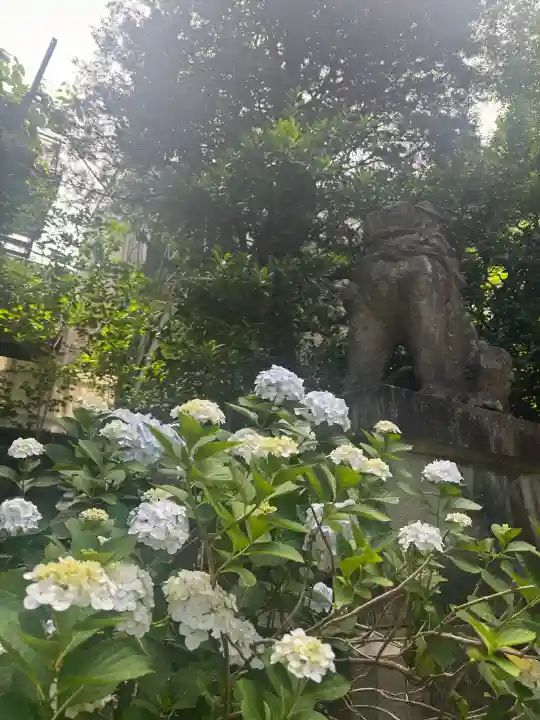 赤坂氷川神社(東京都)