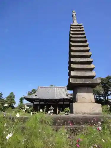 般若寺 ❁﻿コスモス寺❁の塔