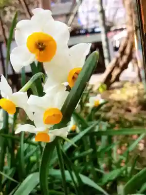 國領神社(東京都)
