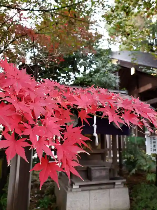 阿佐ヶ谷神明宮(東京都)
