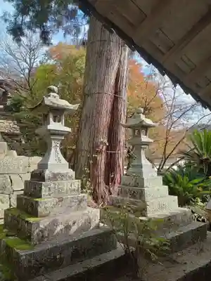 長谷寺(奈良県)
