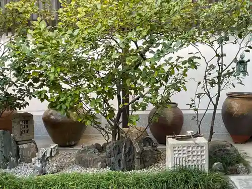 仙宗寺(京都府)