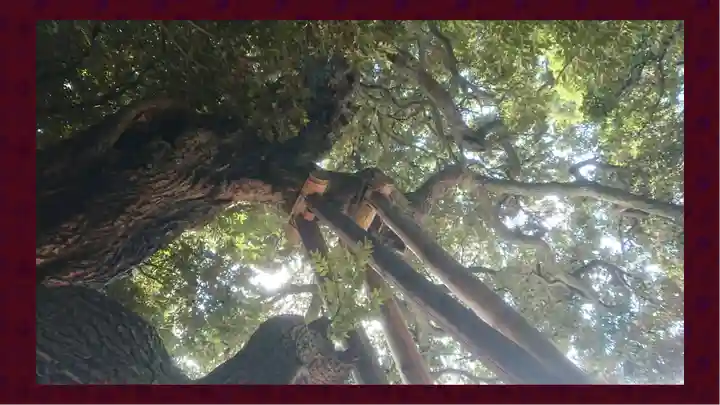 九重神社(埼玉県)