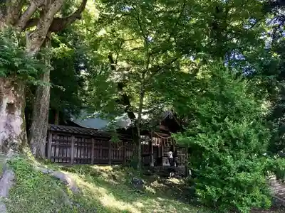 諏訪大社上社前宮の本殿・本堂