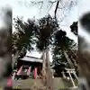 高司神社〜むすびの神の鎮まる社〜のその他建物