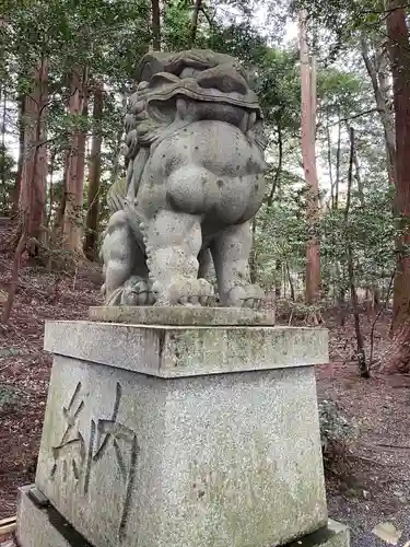 椿大神社の狛犬