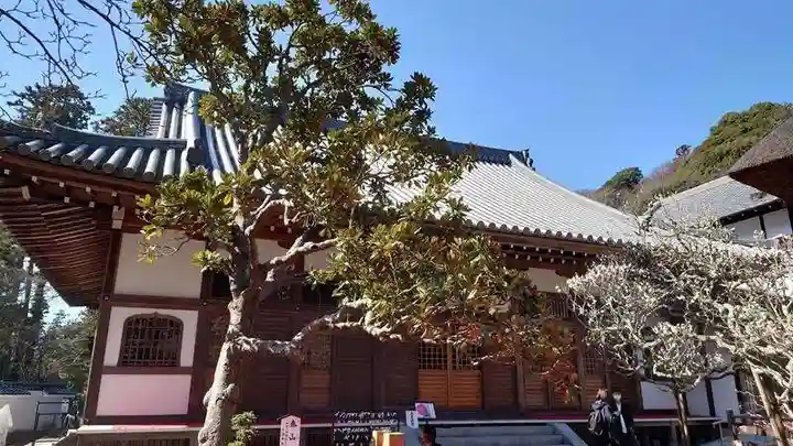 佛日庵の本殿・本堂