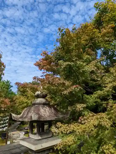 勝林寺(京都府)