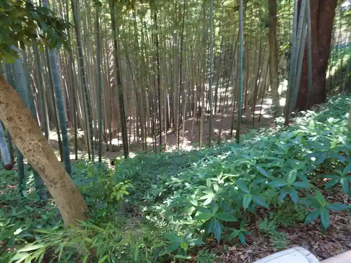 石清水八幡宮の自然