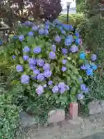 延寿院(宮城県)