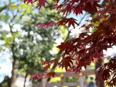 武水別神社(長野県)