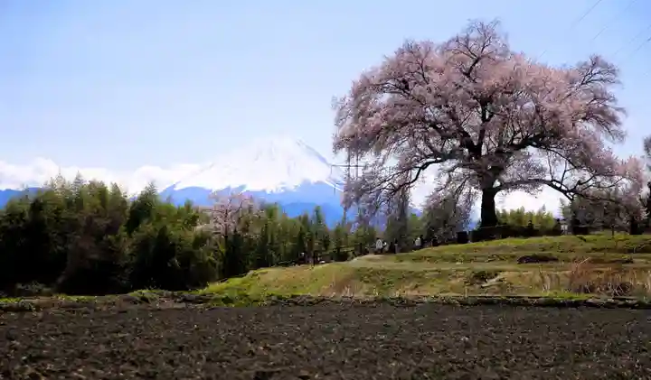 北口本宮冨士浅間神社(山梨県)