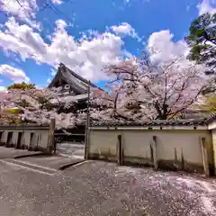 妙顯寺（妙顕寺）(京都府)