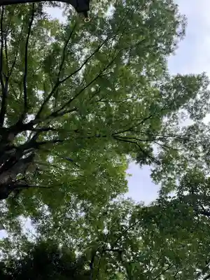 金刀比羅神社(東京都)