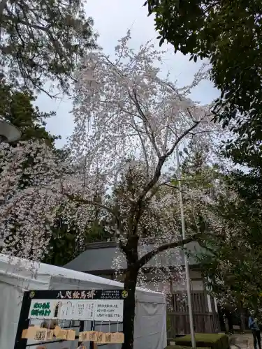 熊野本宮大社の{uncategorized: "未分類", other: "その他", undefined: "問題あり", building: "その他建物", grave: "お墓", sacred_gate: "鳥居", guardian: "狛犬", statue: "像", buddha: "仏像", history: "歴史", nature: "自然", garden: "庭園", animal: "動物", pagoda: "塔", temizu: "手水舎", mountain_gate: "山門・神門", sanctuary: "本殿・本堂", subordinate: "末社・摂社", art: "芸術", scenery: "景色", jizo: "地蔵", ema: "絵馬", goshuin: "御朱印", omikuji: "おみくじ", items: "授与品その他", amulet: "お守り", goshuincho: "御朱印帳", eats: "食事", festival: "お祭り", votive_dance: "神楽", shichigosan: "七五三参", wedding: "結婚式", experience: "体験その他", initially: "初詣", around: "周辺", anti_infection: "感染症対策"}