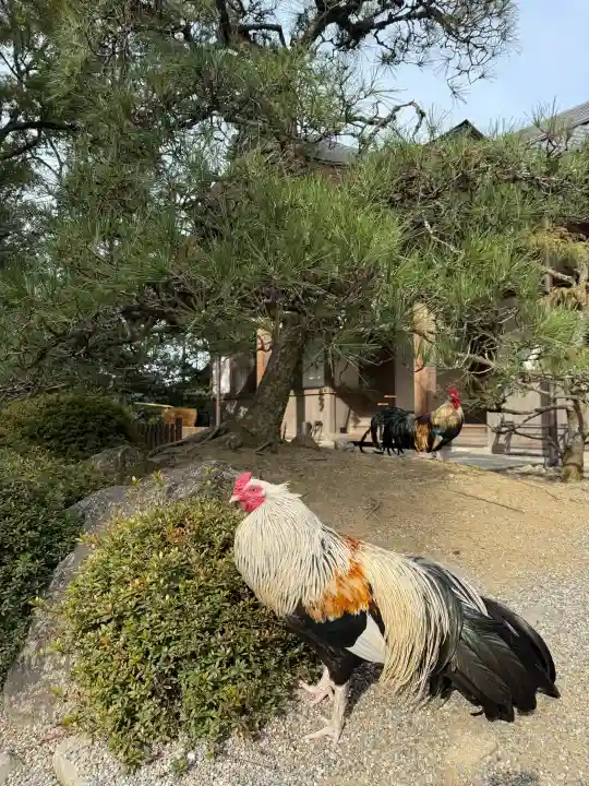 石上神宮の{uncategorized: "未分類", other: "その他", undefined: "問題あり", building: "その他建物", grave: "お墓", sacred_gate: "鳥居", guardian: "狛犬", statue: "像", buddha: "仏像", history: "歴史", nature: "自然", garden: "庭園", animal: "動物", pagoda: "塔", temizu: "手水舎", mountain_gate: "山門・神門", sanctuary: "本殿・本堂", subordinate: "末社・摂社", art: "芸術", scenery: "景色", jizo: "地蔵", ema: "絵馬", goshuin: "御朱印", omikuji: "おみくじ", items: "授与品その他", amulet: "お守り", goshuincho: "御朱印帳", eats: "食事", festival: "お祭り", votive_dance: "神楽", shichigosan: "七五三参", wedding: "結婚式", experience: "体験その他", initially: "初詣", around: "周辺", anti_infection: "感染症対策"}